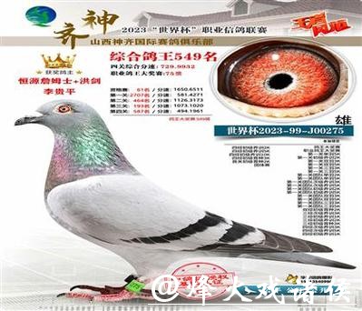 2200万天价“神奇小鸟”背后：恒源詹姆士黄永源的赛鸽王朝